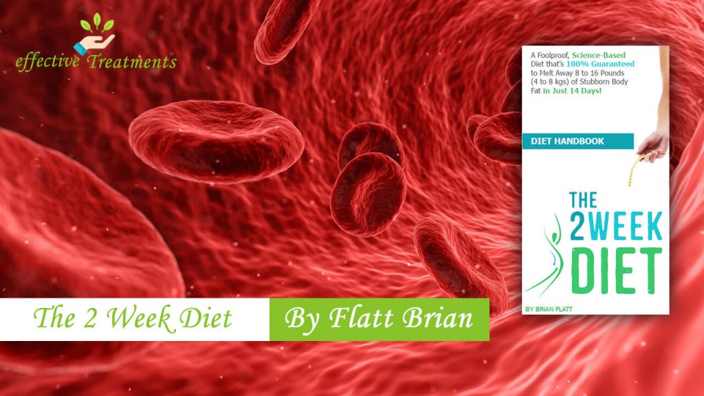 the 2 week diet plan reviews