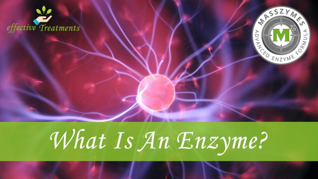 what is an enzyme