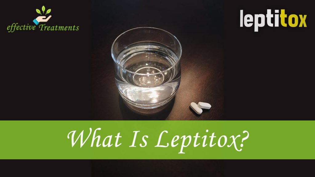 What is leptitox