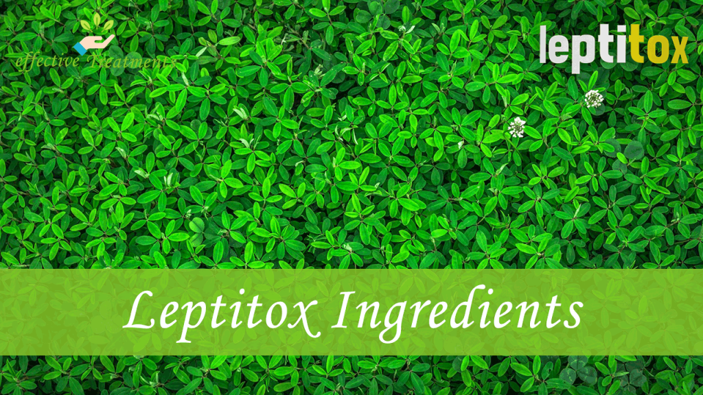 leptitox ingredients