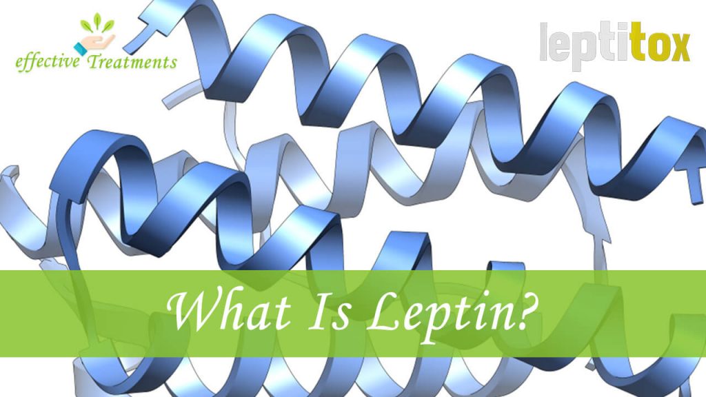 what is leptin
