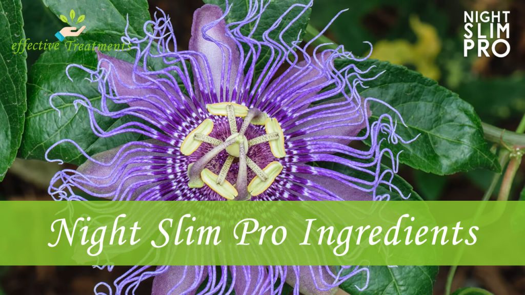 Night Slim Pro ingredients