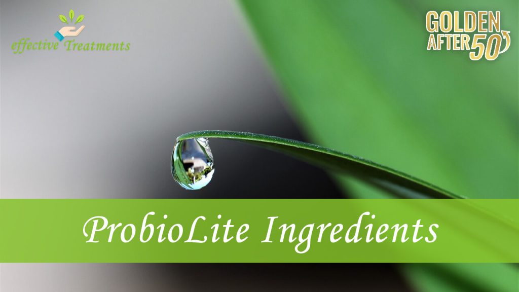 probiolite ingredients