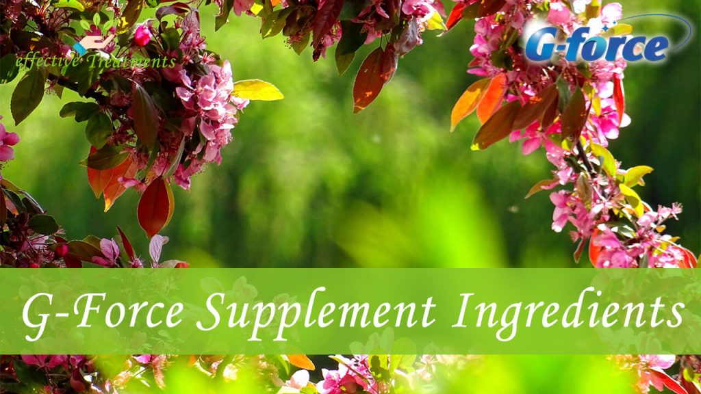 G Force supplement ingredients