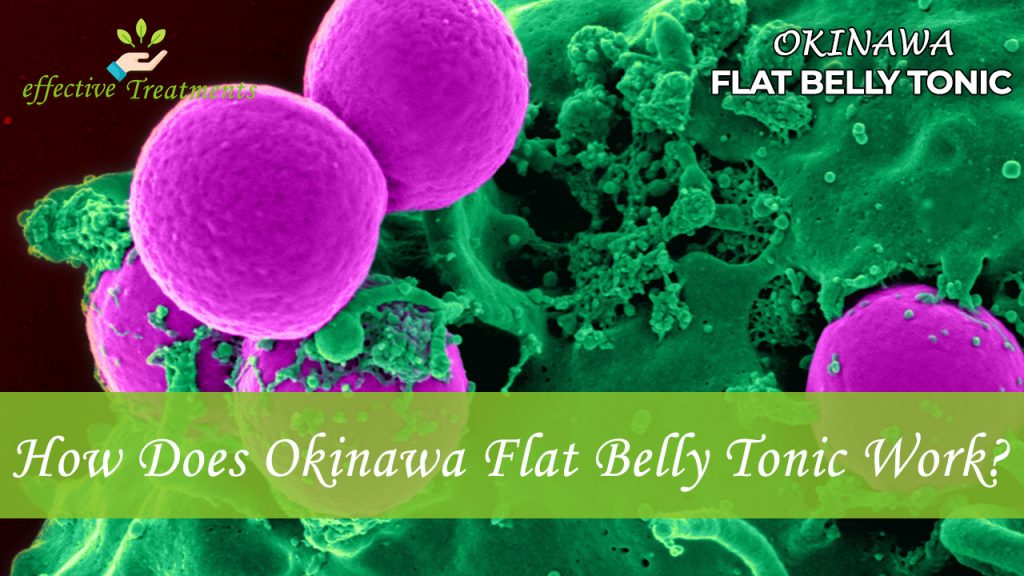 How does Okinawa Flat Belly Tonic work?