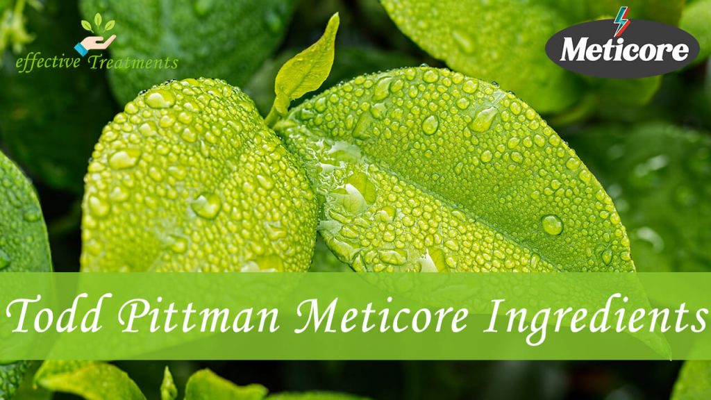 Todd Pittman Meticore Ingredients​