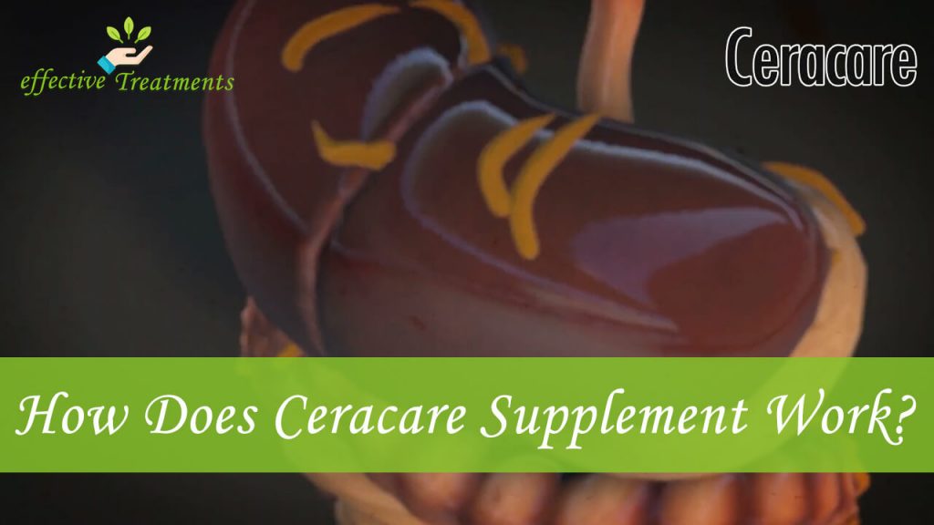 how does Ceracare supplement work