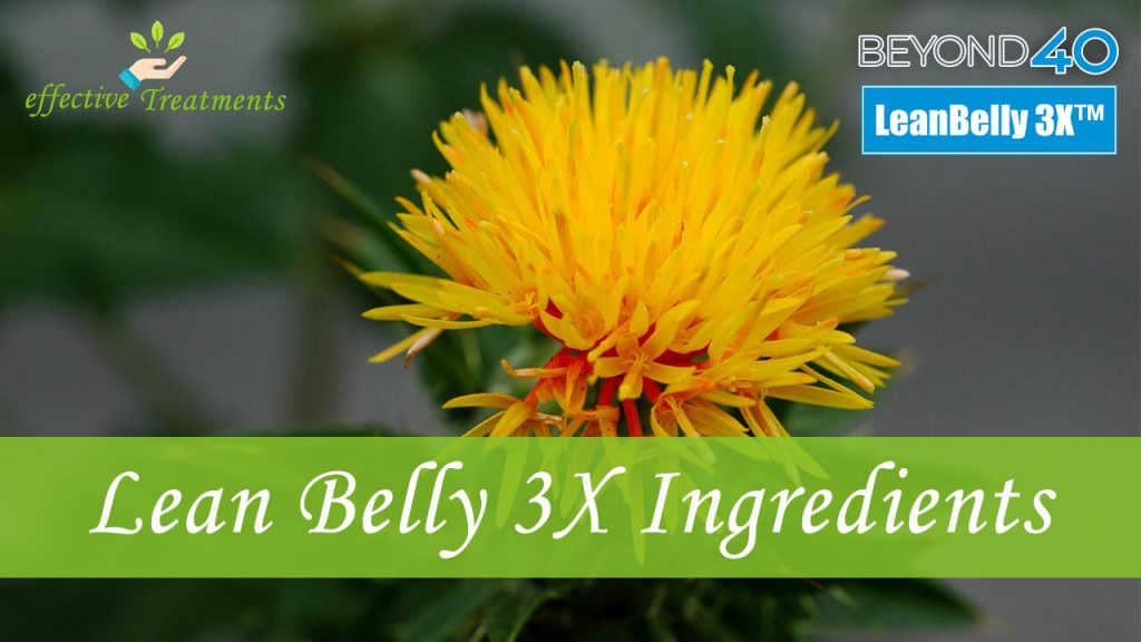 Lean belly 3x ingredients