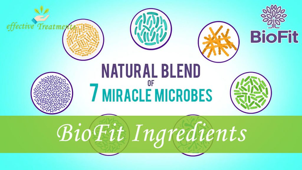 Biofit ingredients