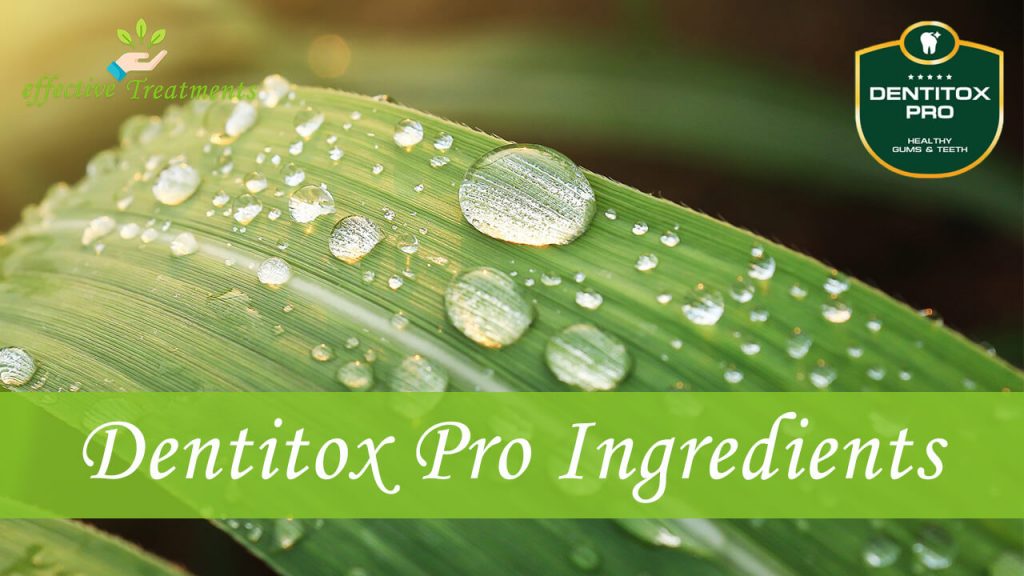 Dentitox Pro ingredients