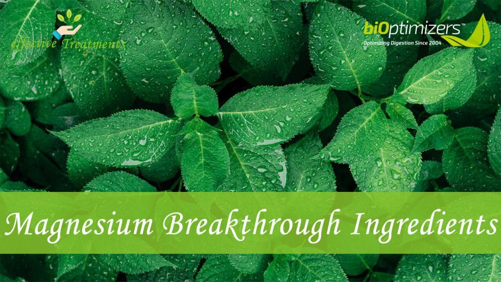Magnesium Breakthrough ingredients