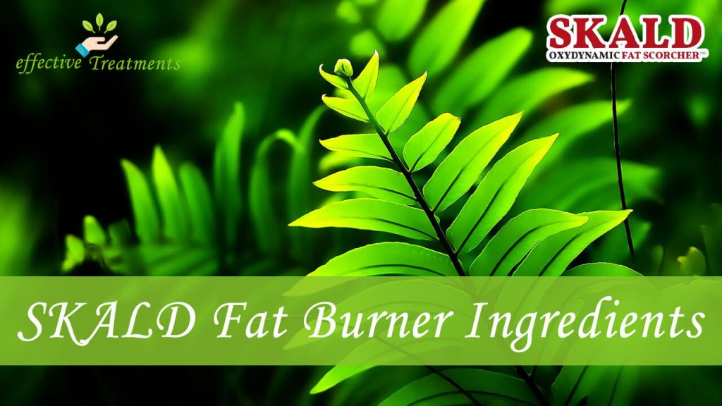 SKALD Oxydynamic Fat Scorcher Ingredients
