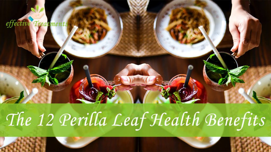 The 12 Charming Perilla Leaf Health Benefits