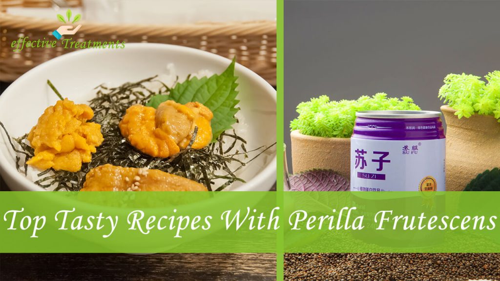 Top Tasty Recipes With Perilla Frutescens