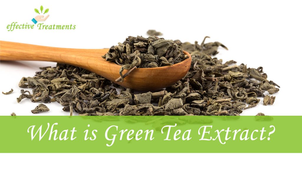 What is Green Tea Extract?