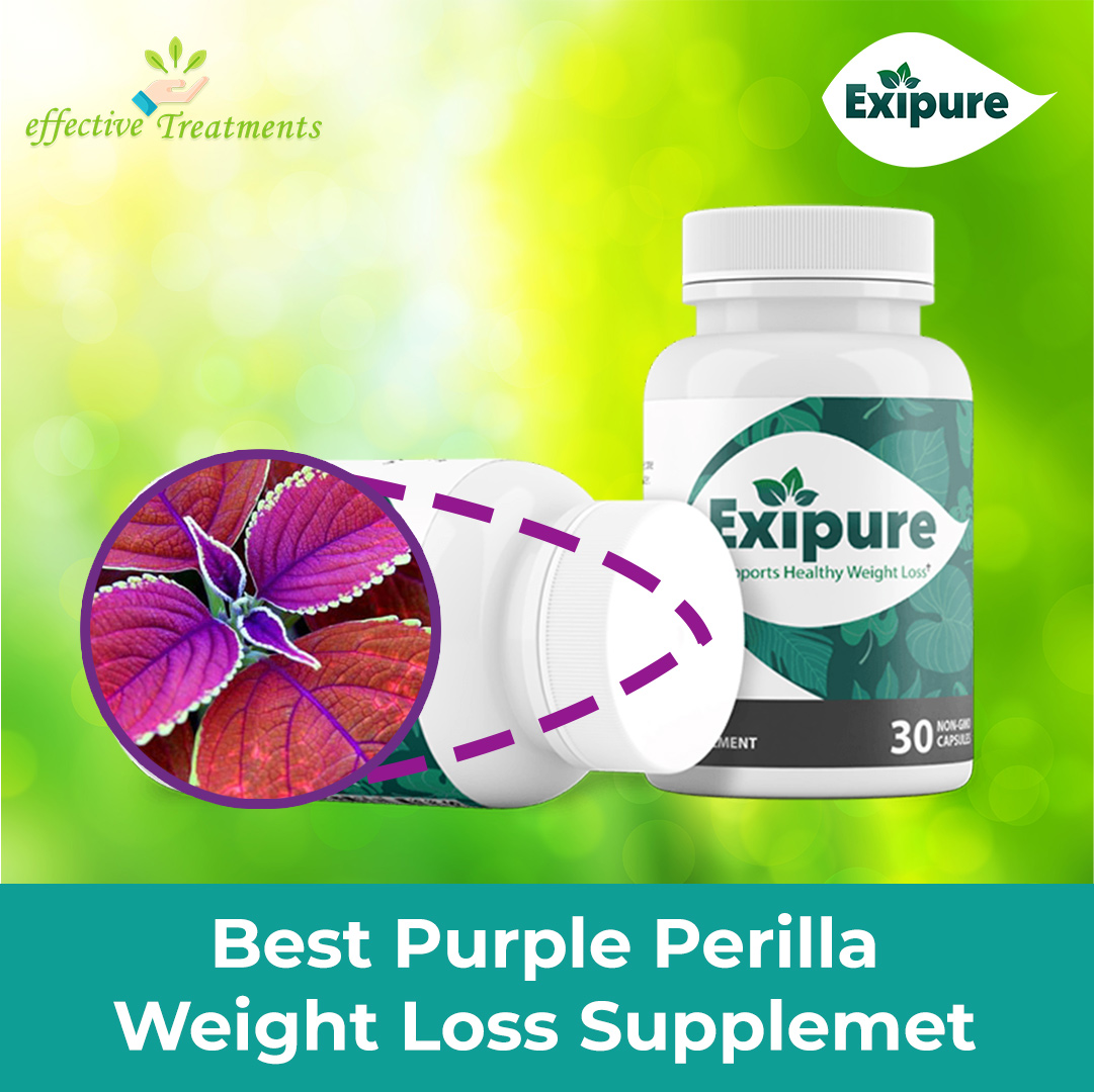 best purple perilla weight loss supplement exipure