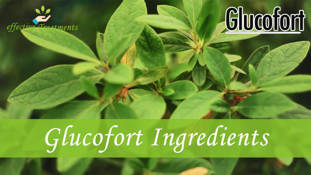 Glucofort Ingredients