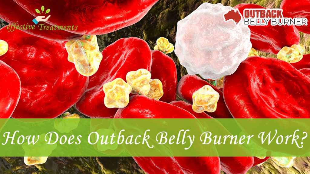 How does Outback Belly Burner work?