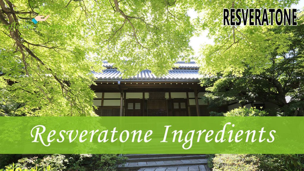 Resveratone Ingredients