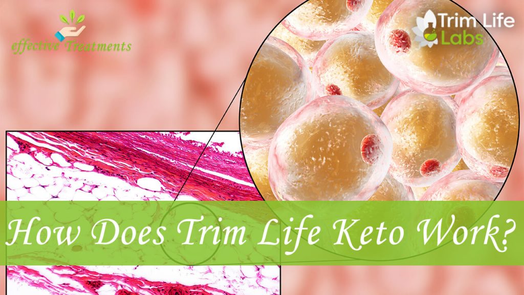 How does Trim Life Keto work?