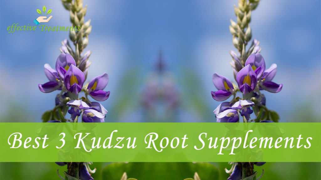 Best 3 Kudzu Root Supplements