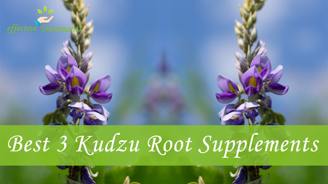 Kudzu Root (Pueraria Lobata) The 9 INTENSE Health Benefits