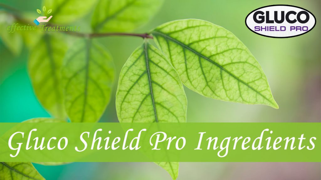 Gluco Shield Pro Ingredients
