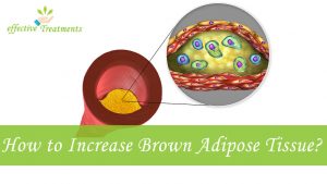 Brown Adipose Tissue Weight Loss [The Complete Truth]