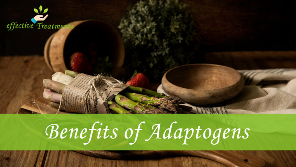 Benefits of Adaptogens