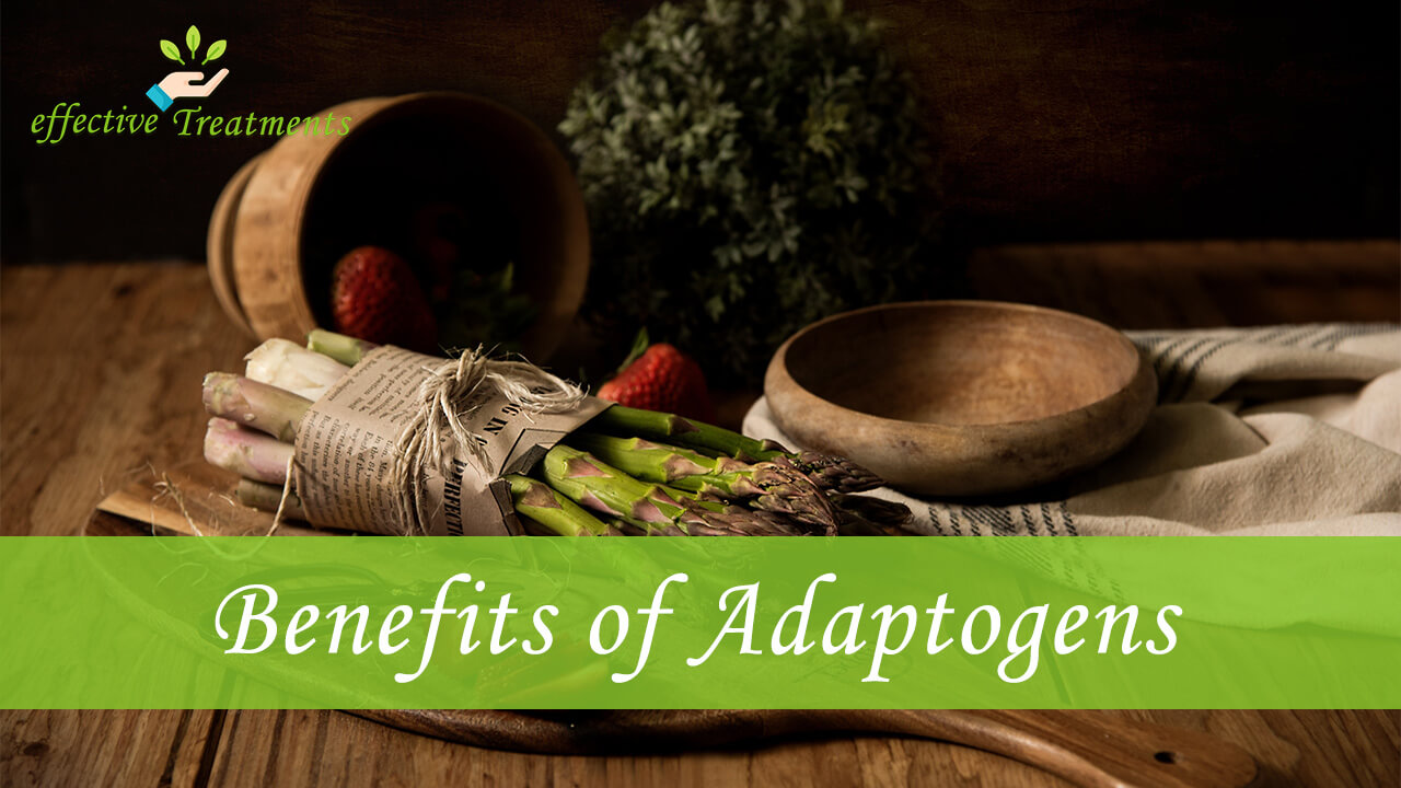 Adaptogenic Herbs: Surprising List of Health Benefits