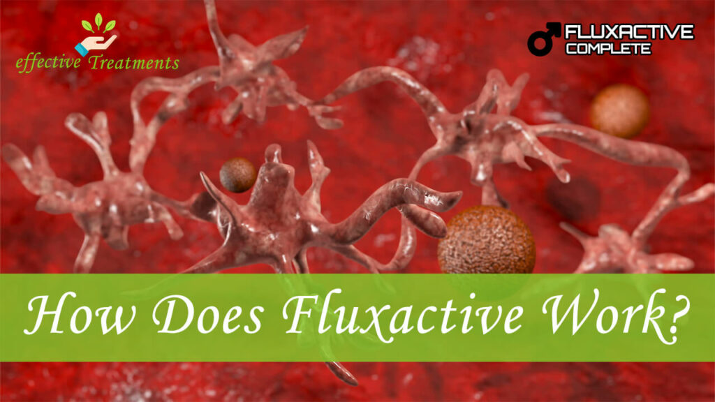 How Does Fluxactive Complete Work