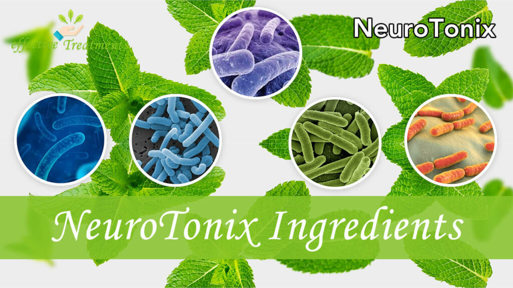 NeuroTonix Ingredients