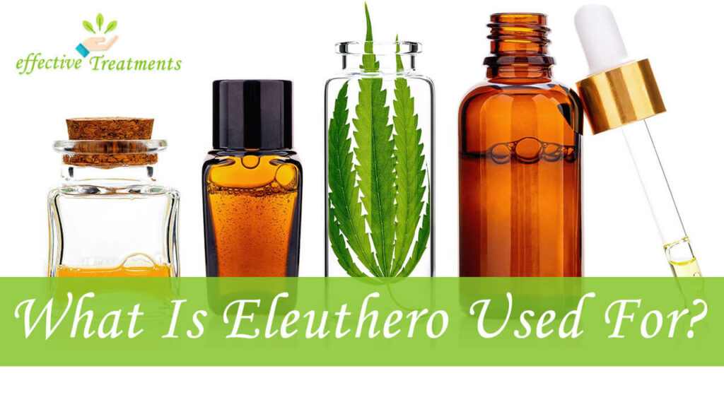 What Is Eleuthero Used For