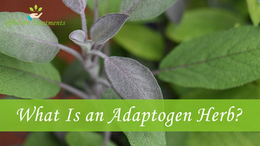 What Is an Adaptogen Herb
