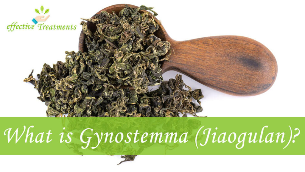 What is Gynostemma Pentaphyllum Jiaogulan
