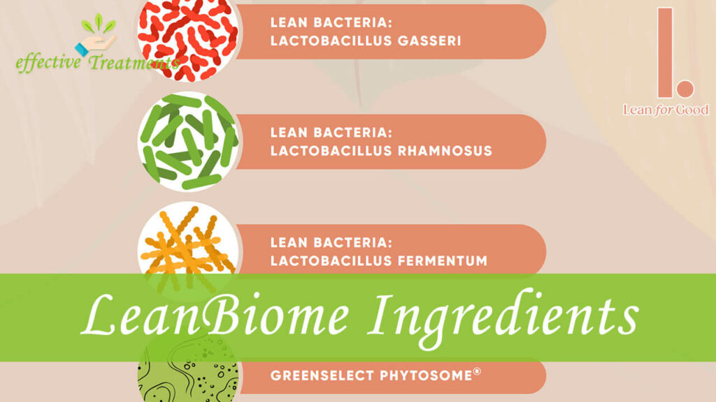 LeanBiome Ingredients
