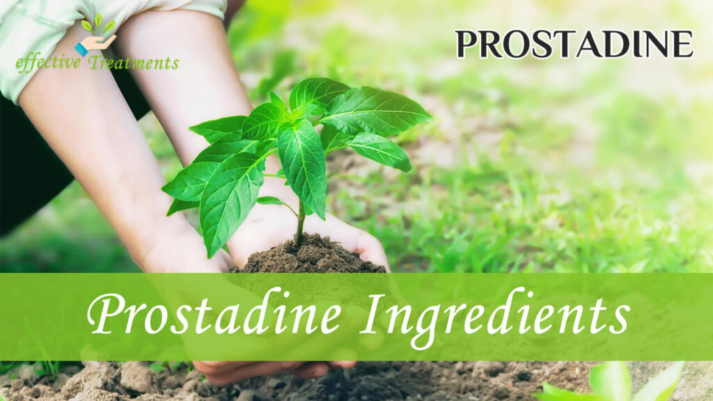 Prostadine Ingredients