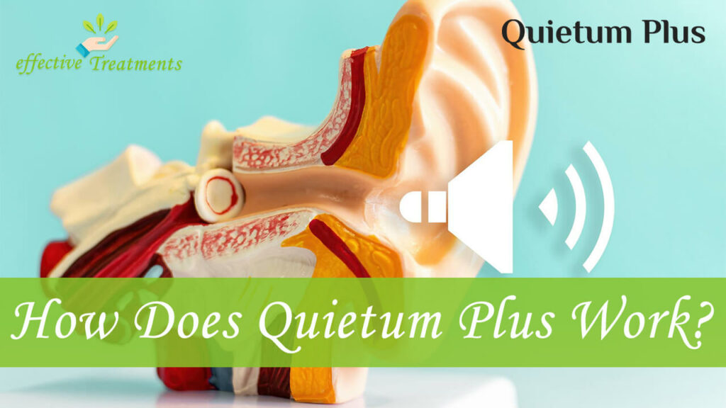 How Does Quietum Plus Work