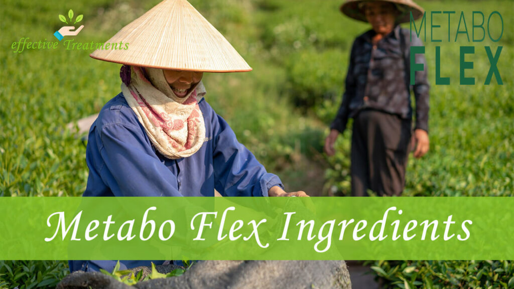 Metabo Flex Ingredients
