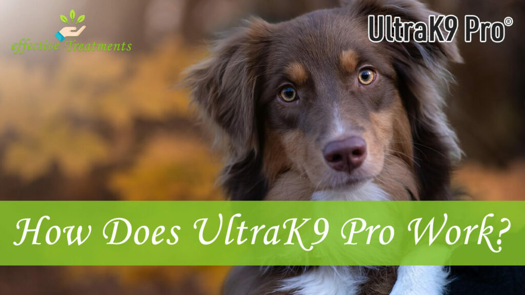 How Does UltraK9 Pro Work