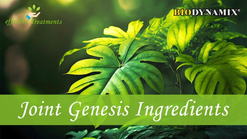 Joint Genesis Ingredients