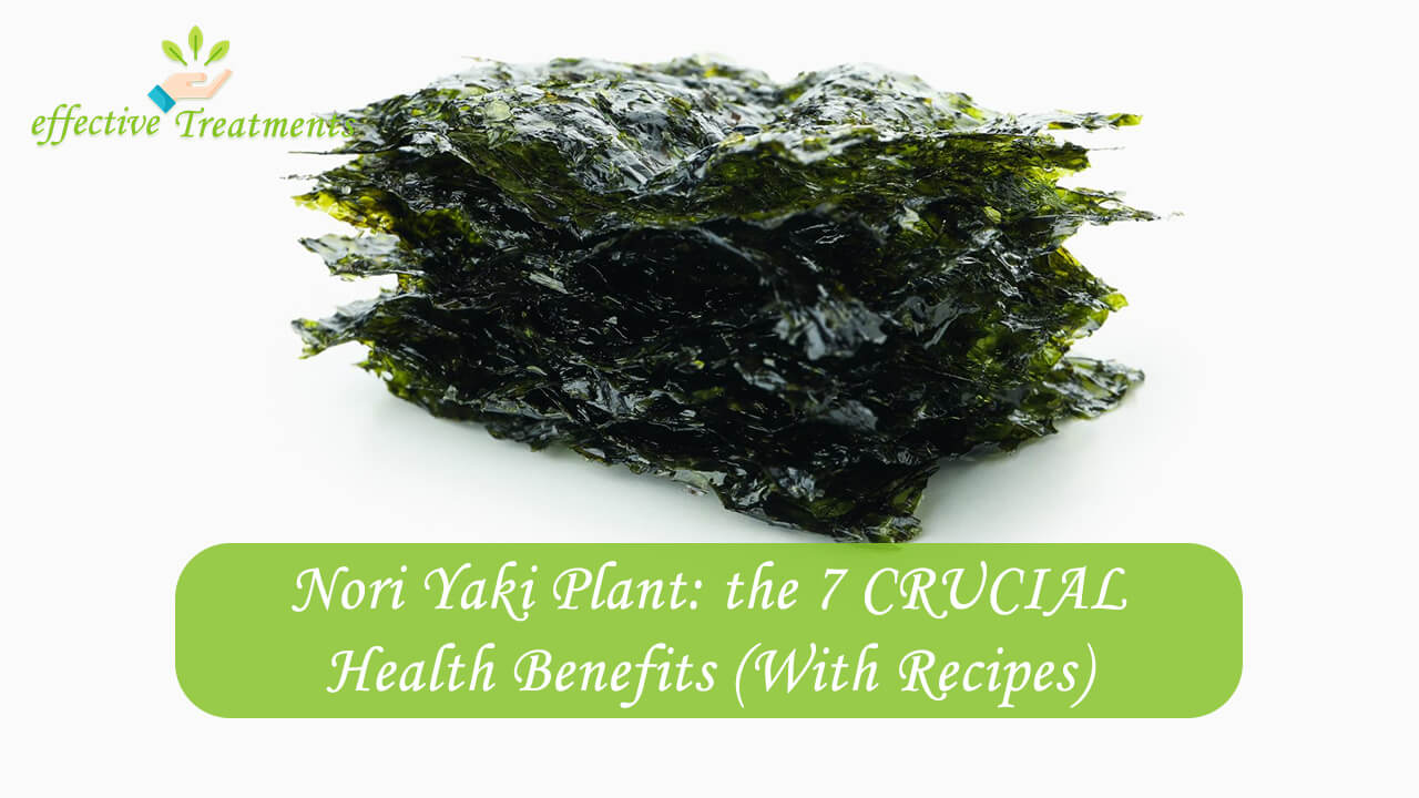 7 CRUCIAL Nori Yaki Benefits for Your Body (with Recipes)