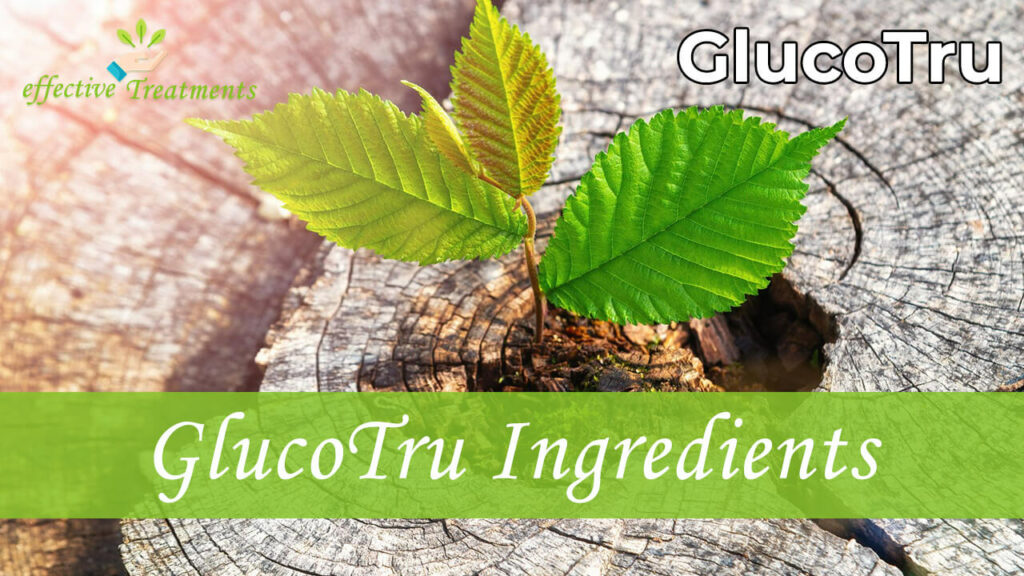 GlucoTru Ingredients
