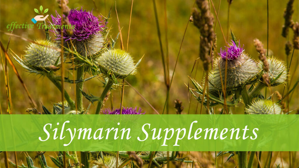 Top 3 Silymarin Supplements that Provide Tremendous Health Benefits