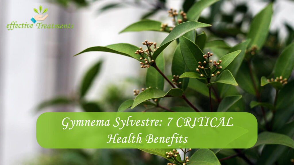 Top 7 CRITICAL Gymnema Sylvestre Benefits Your Body Needs