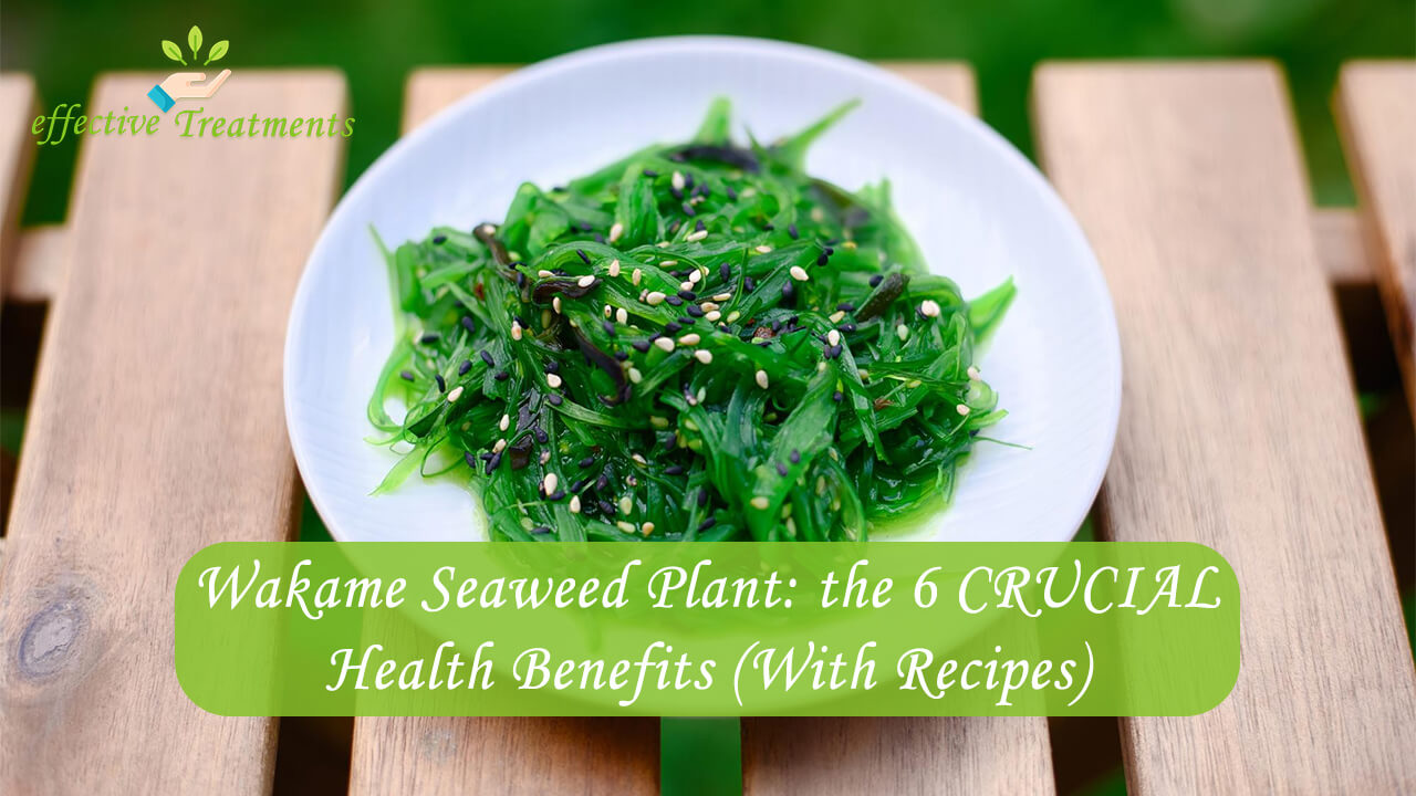 Wakame Seaweed The 6 CRUCIAL Benefits (with Recipes)