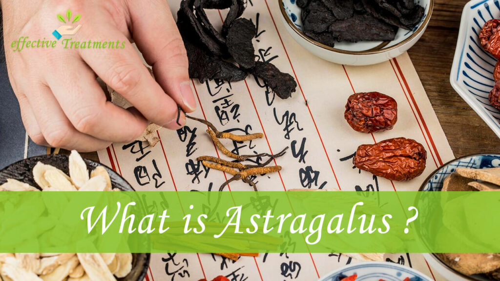What Is Astragalus