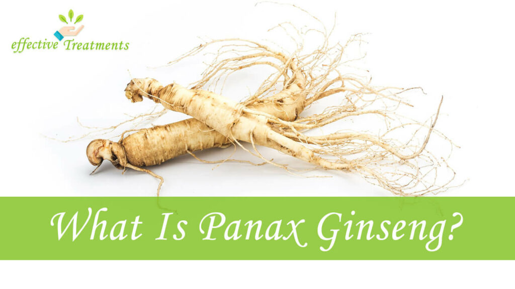 What Is Panax Ginseng