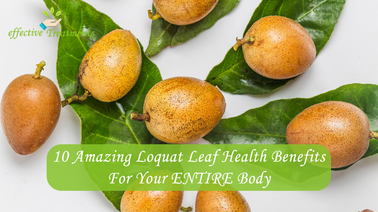 Discover The Amazing Respiratory Benefits Of Loquats!