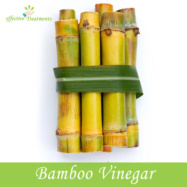 Bamboo Vinegar plant